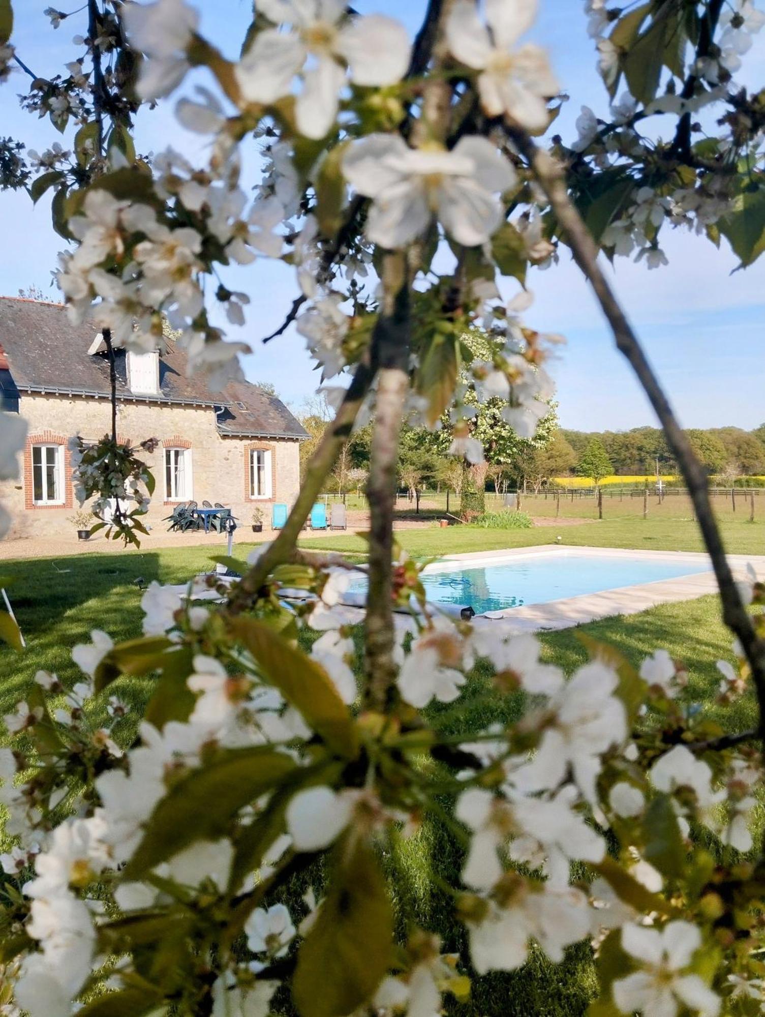 A La Campagne -maison Individuelle -piscine * Semblançay